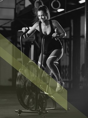 features of fitflex